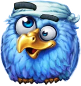 Pirots X bird 4